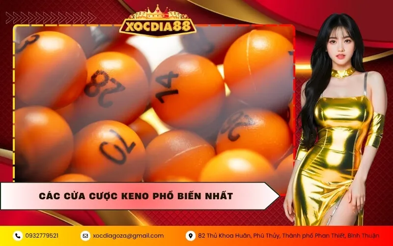 Các Cửa Cược Keno Phổ Biến Nhất