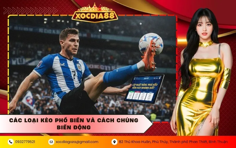 Các loại kèo phổ biến và cách chúng biến động