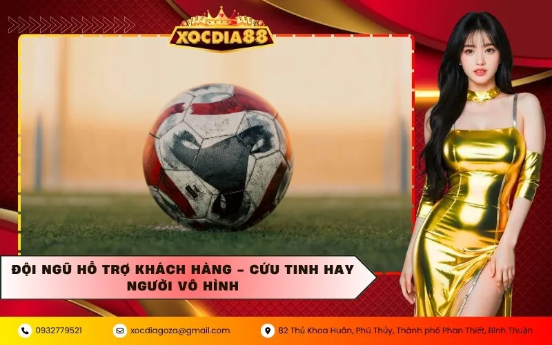 Đội Ngũ Hỗ Trợ Khách Hàng - Cứu Tinh Hay Người Vô Hình