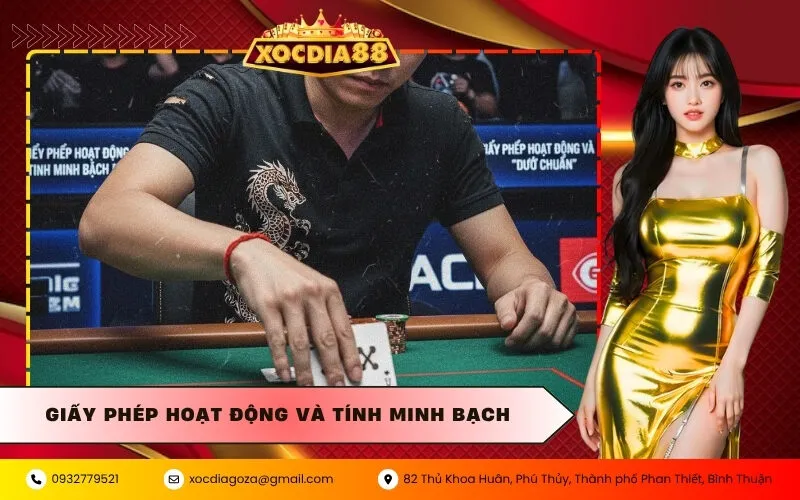 Giấy Phép Hoạt Động và Tính Minh Bạch