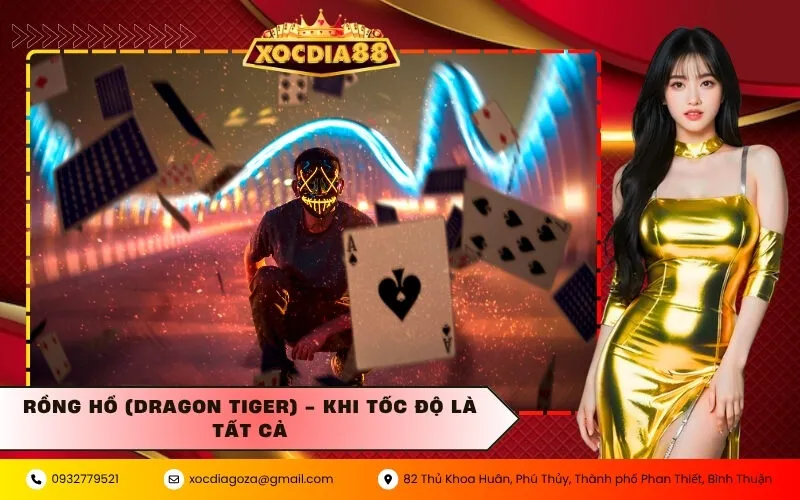 Rồng Hổ (Dragon Tiger) - Khi tốc độ là tất cả
